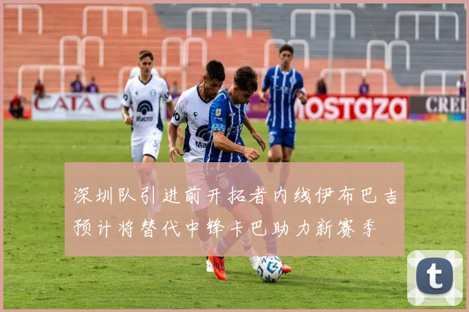 深圳队引进前开拓者内线伊布巴吉预计将替代中锋卡巴助力新赛季